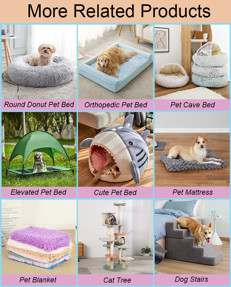 Related Pet Products
