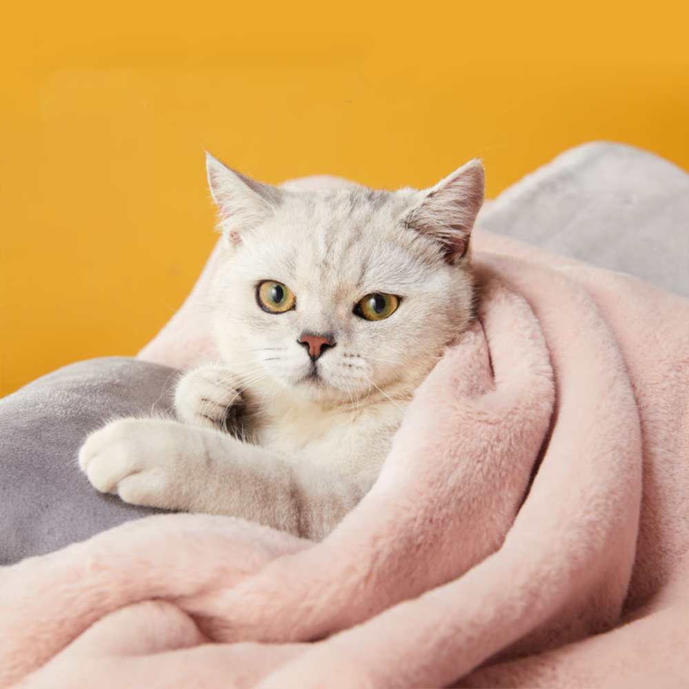 Medium Large Winter Flannel Dog Cat Bed Mat Printed Puppy Sleeping Blankets Bath Towel Soft Warm Faux Fur Pets