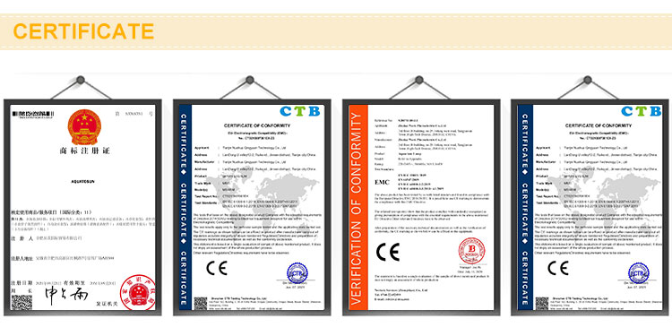 Presentation 4