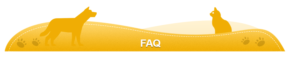 Frequently Asked Questions