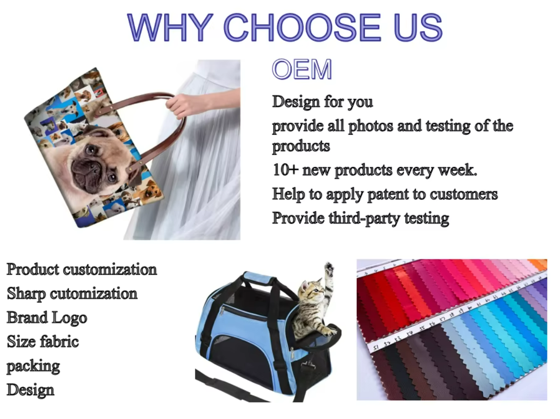 Why Choose Us