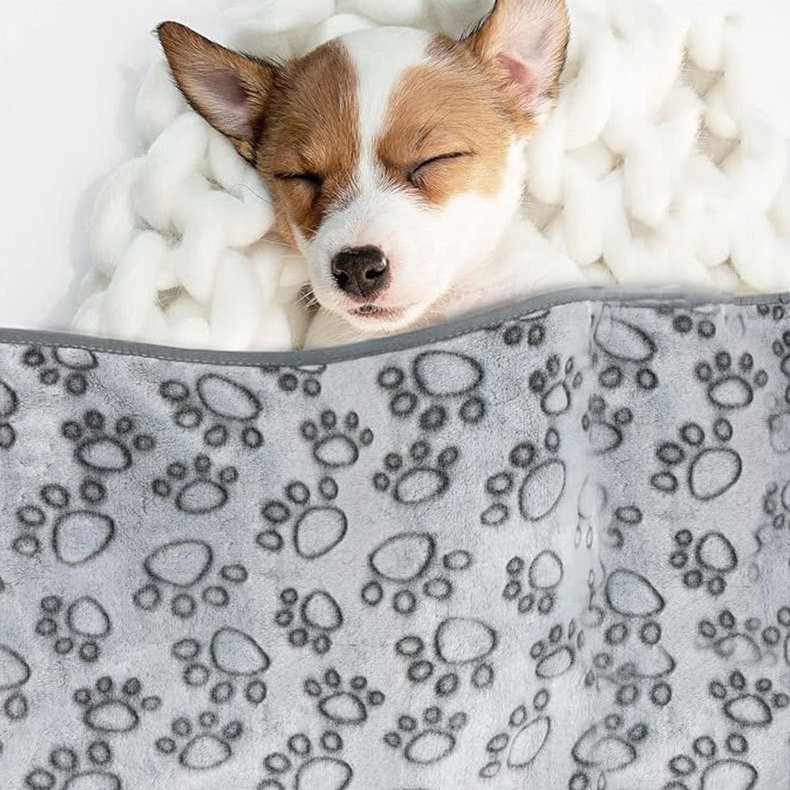 Soft Fluffy Pet Blanket Cute Cartoon Pattern Pet Mat Warm and Comfortable Blanket for Cat Dogs
