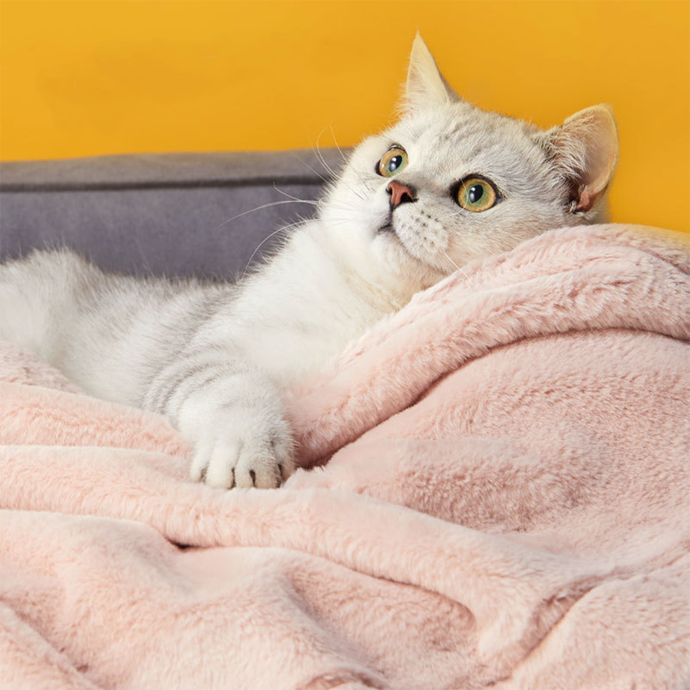 Medium Large Winter Flannel Dog Cat Bed Mat Printed Puppy Sleeping Blankets Bath Towel Soft Warm Faux Fur Pets
