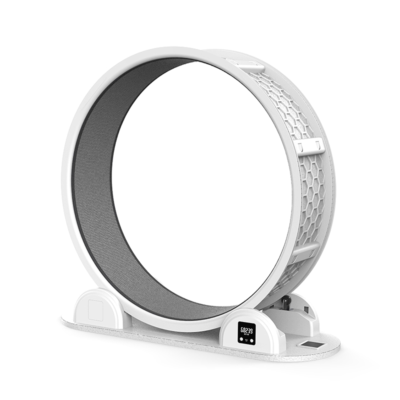 Pet Treadmill 4