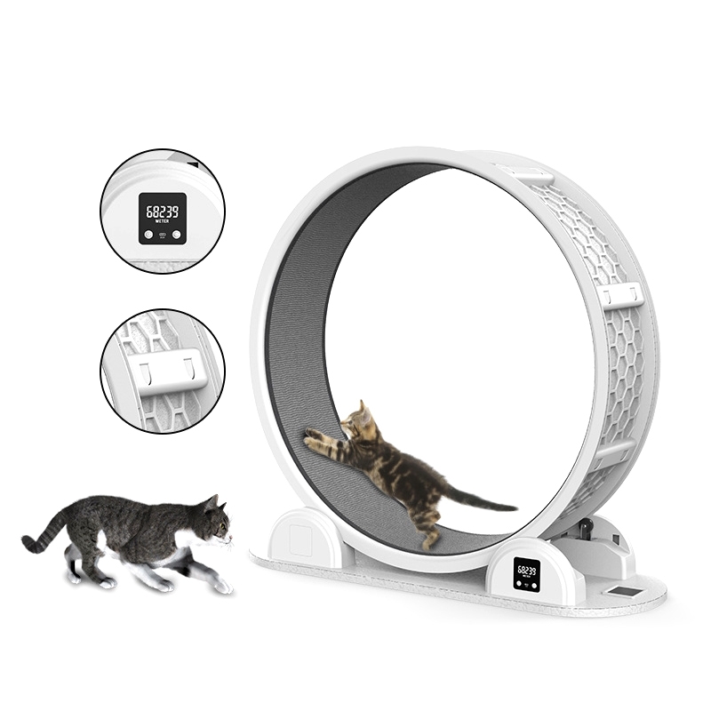 Pet Treadmill 1