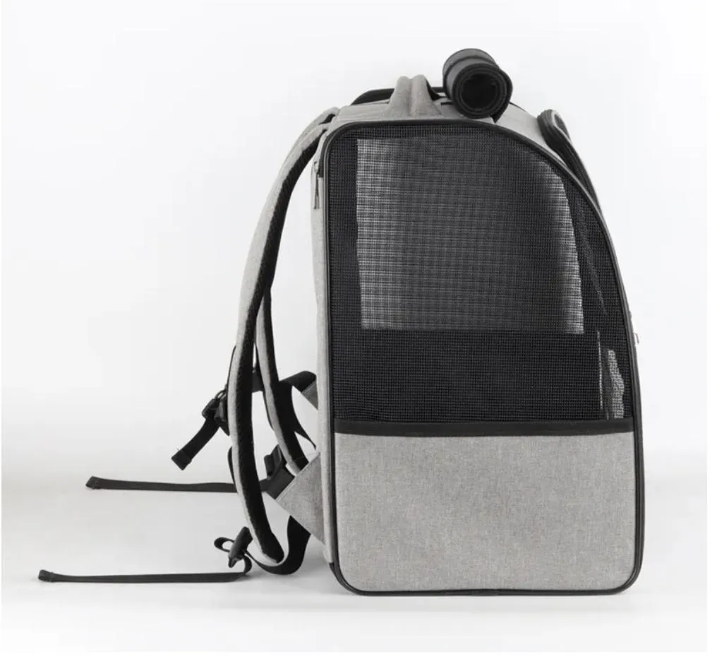 Pet Backpack 6