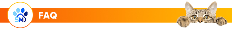Factory Audit Compliance