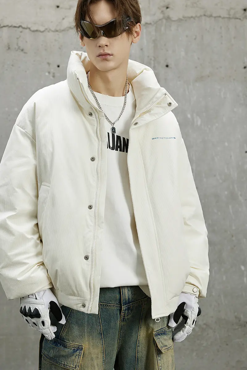 Men's Stand Collar Down Jacket Front View