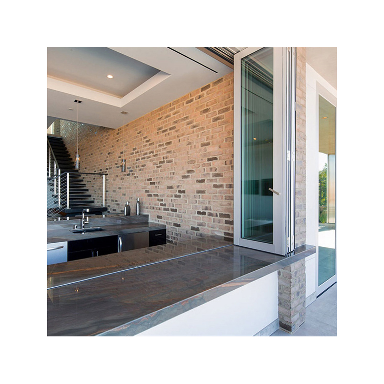 Aluminum Bi-Fold Window with Net Glass Profile Doors Modern Design Aluminum Bi-Fold Window