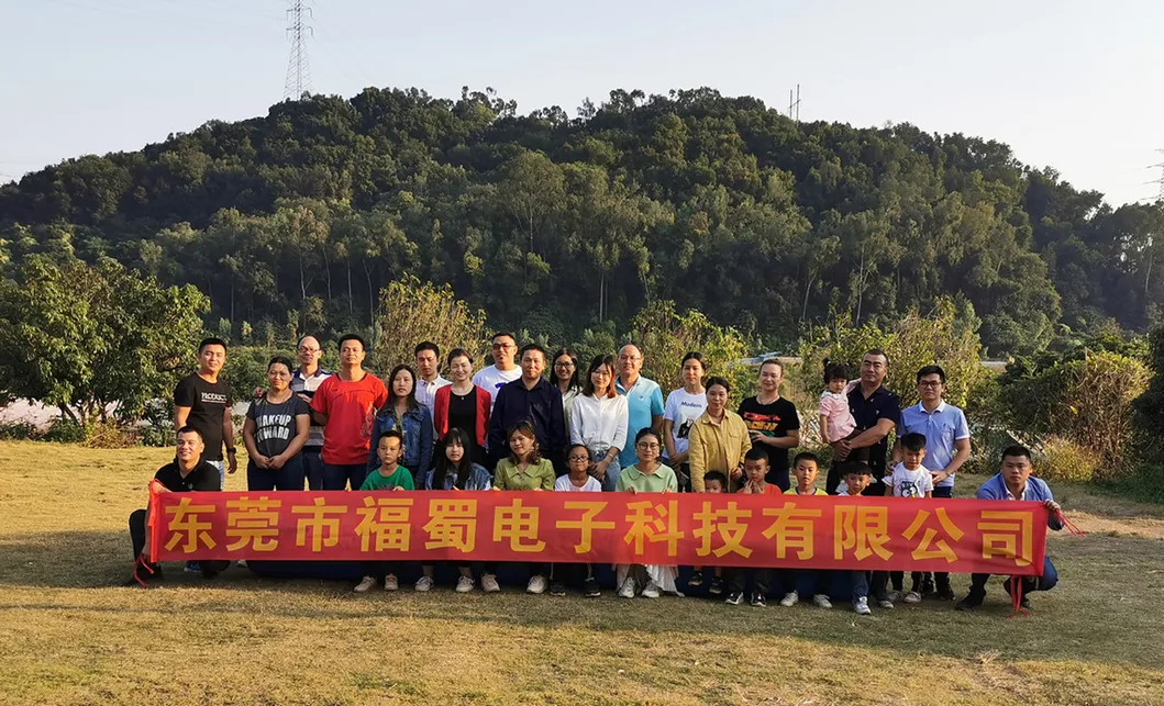 Our Professional Team