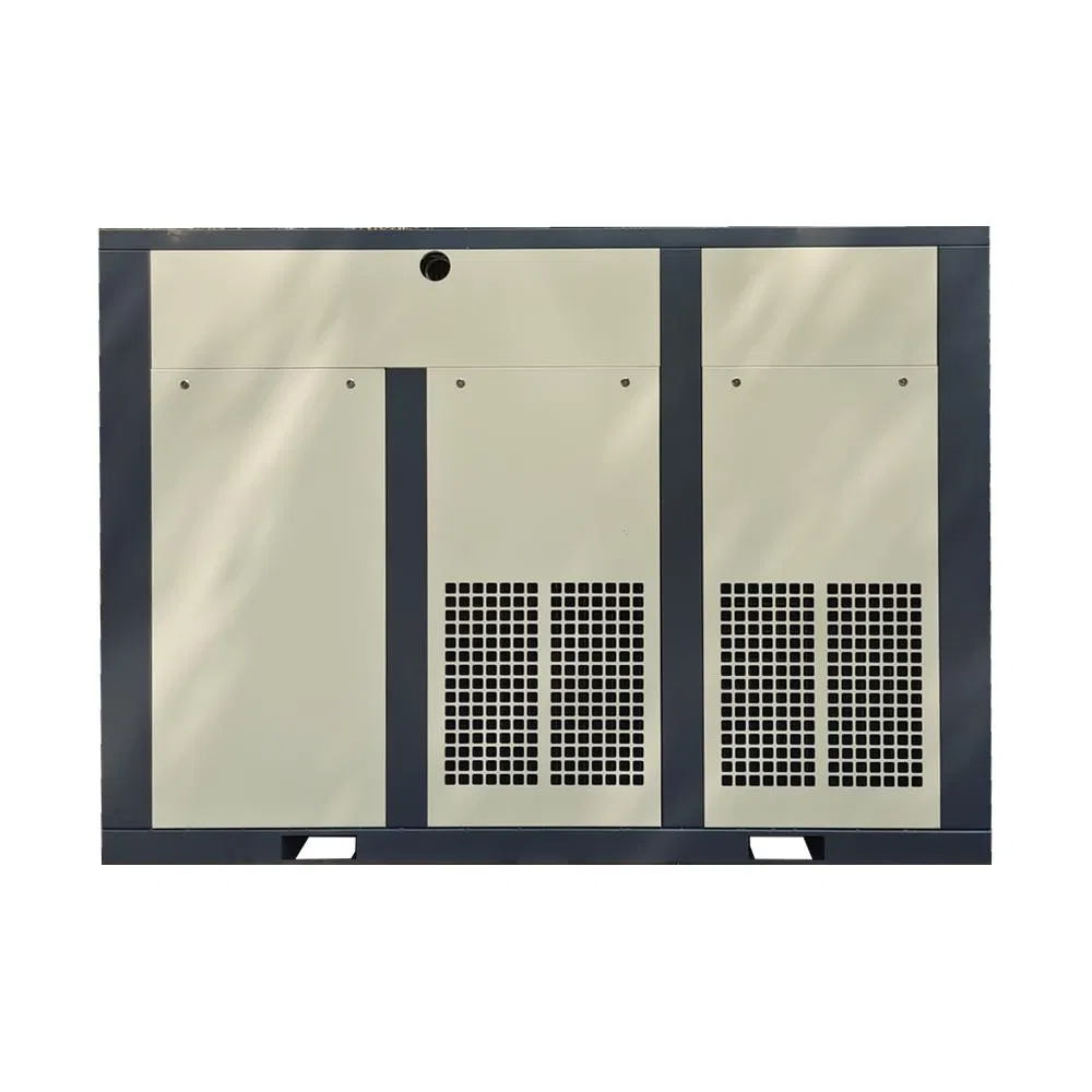 China Energy Saving Fixed Speed IP55 132kw Two Stage Screw Air Compressor