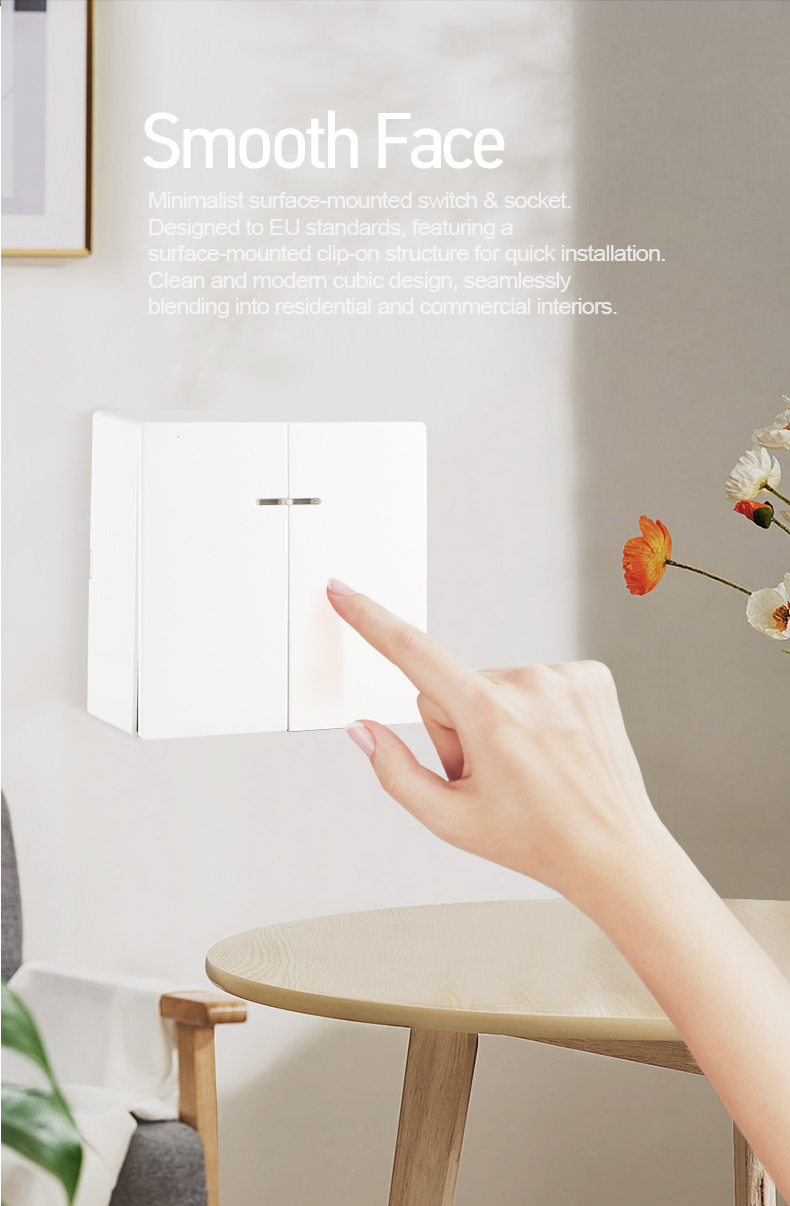 Factory Wholesale Cheap 2 Way ABS Material Surface Mounted European EU Standard Electrical Wall Switches Push Button Wall Switch