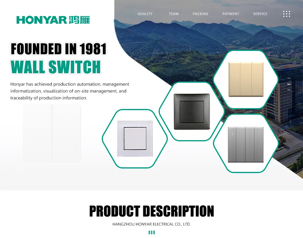 Slim Panel Wall Switch