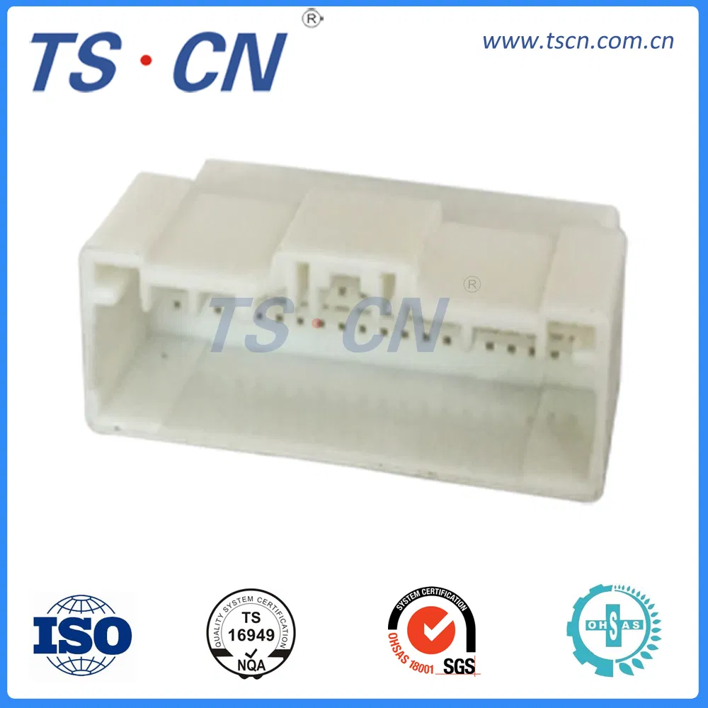 Electrical Auto Wire Harness Cable Assembly Plug Terminal Female Connector Ts30125-40p-21