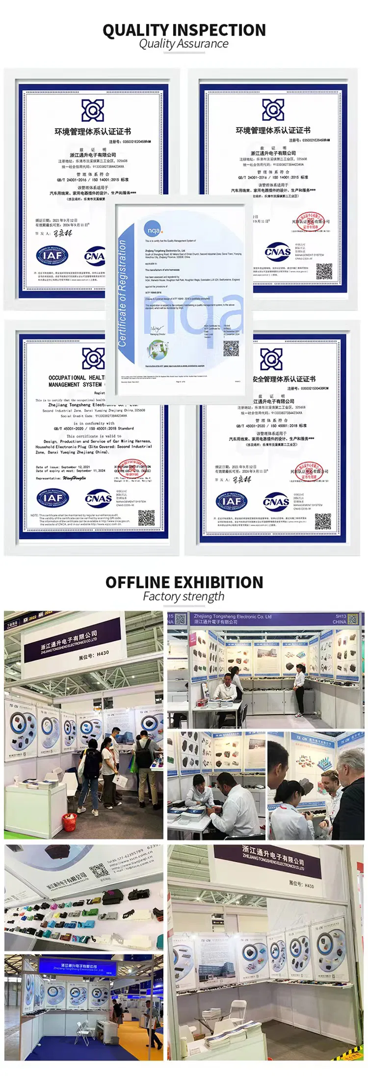 Wire Harness Assembly