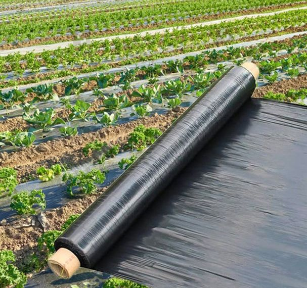 All New Materials UV 100GSM Black PE Mulch Film for Vegetable Agricultural