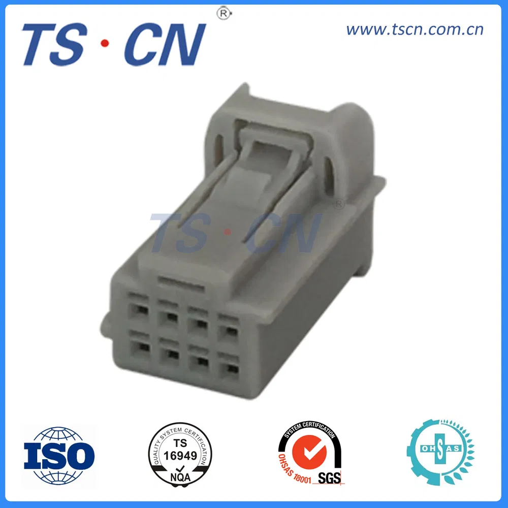 Electrical Auto Wire Harness Cable Assembly Plug Terminal Female Connector Ts30125-40p-21