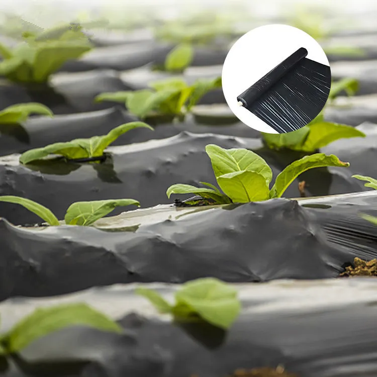 Vegetable Mulch Application