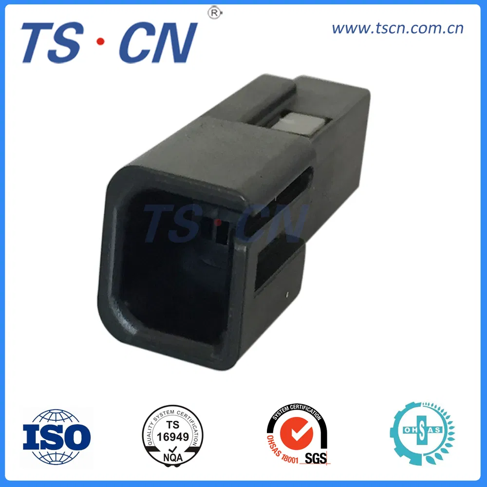 Electrical Auto Wire Harness Cable Assembly Plug Terminal Female Connector Ts30125-40p-21