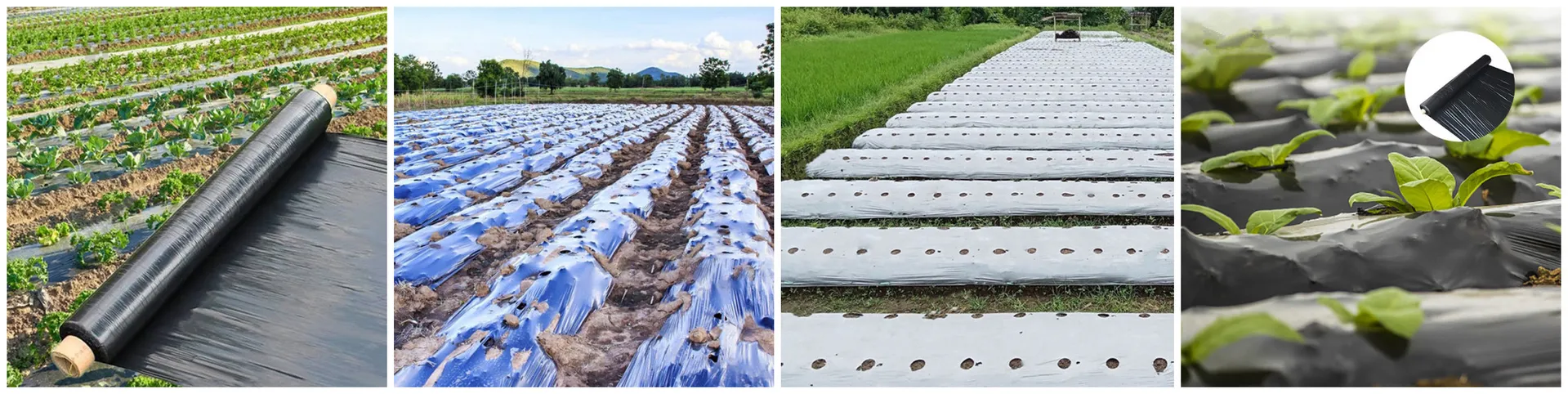 Crop Growth Protection