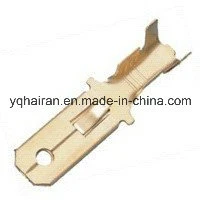 Auto Plastic Terminal Wire and Cable Connector (DJ7021-6.3-11)