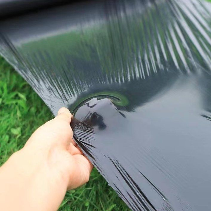 All New Materials UV 100GSM Black PE Mulch Film for Vegetable Agricultural