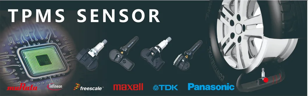 TPMS Sensor Overview