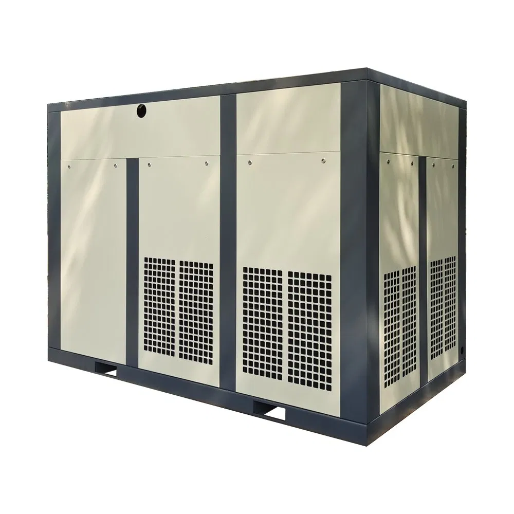 China Energy Saving Fixed Speed IP55 132kw Two Stage Screw Air Compressor