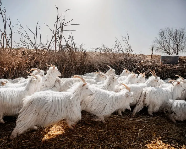 Production Facility 1