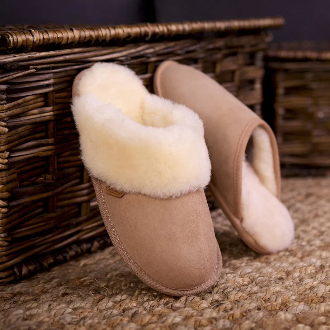 Slipper Detail 1