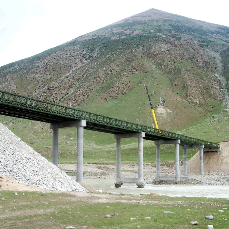 Low Cost Temporary Bailey Steel Structure Bridge Components Professional Design