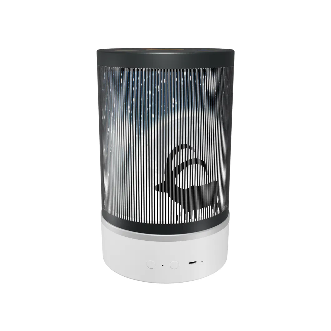 Animated Projection Lamp 6