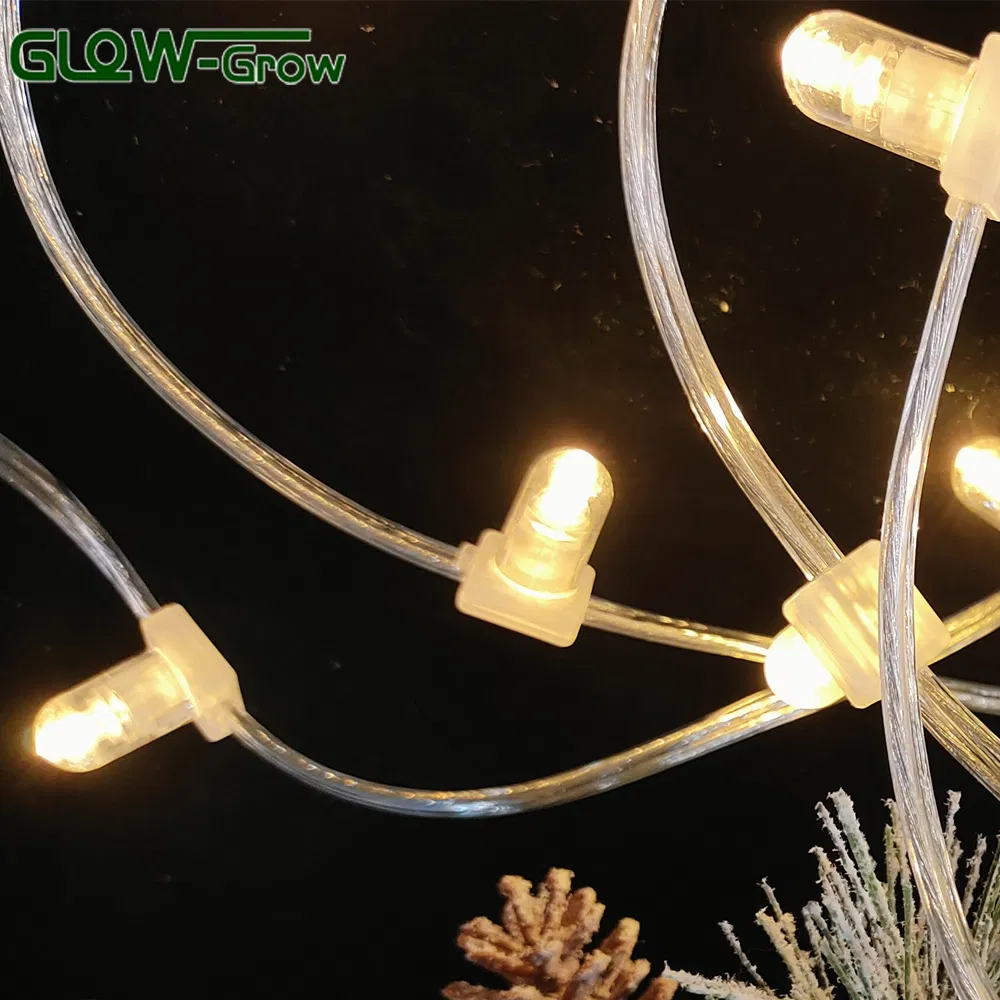 Wire Transparent Color Warm White LED Clip Light for Commercial Event Holiday Tree Christmas Xmas Decoration