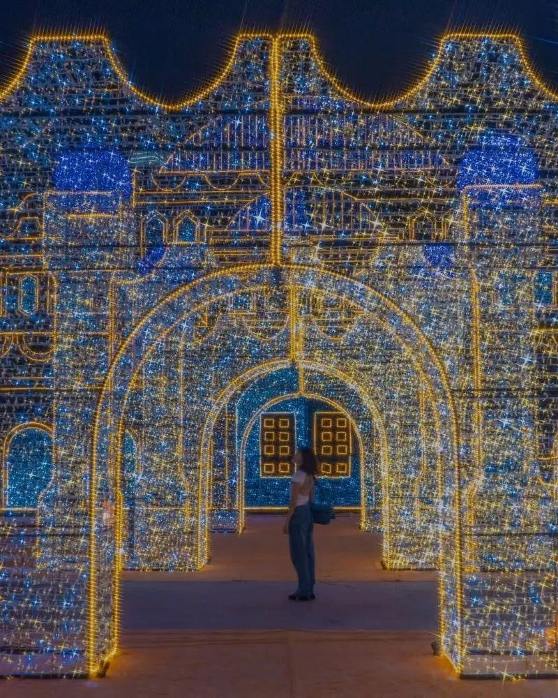 Colorful LED Ball Light