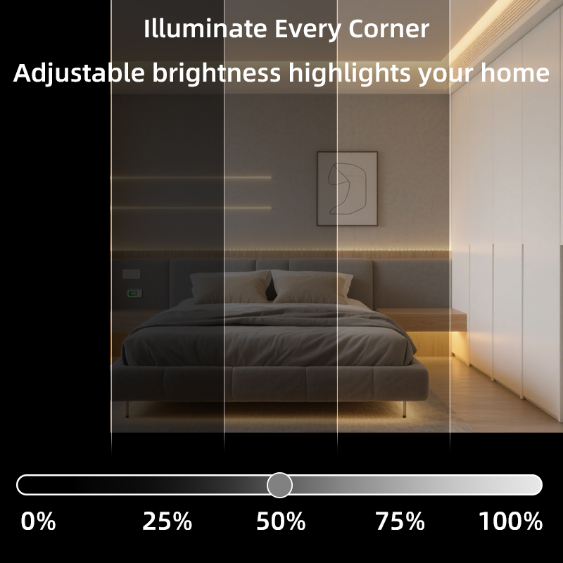 Custom Pixel RGB RGBW Rgbic Led Strip Light Multicolor Smart Wifi App Control Music Sync Dynamic Effects Color Changing Flexible IP20 IP65 IP67 Waterproof 24V