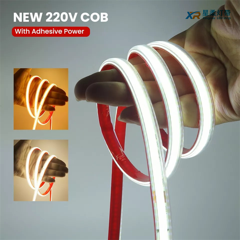 Manufacture Cost Price COB-288d-8mm Transparent Model Flexible LED String Light