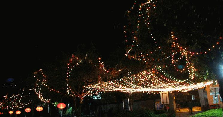 Twinkle Decoration LED Waterfall Holiday Festival Light Outdoor Decoration LED String Light