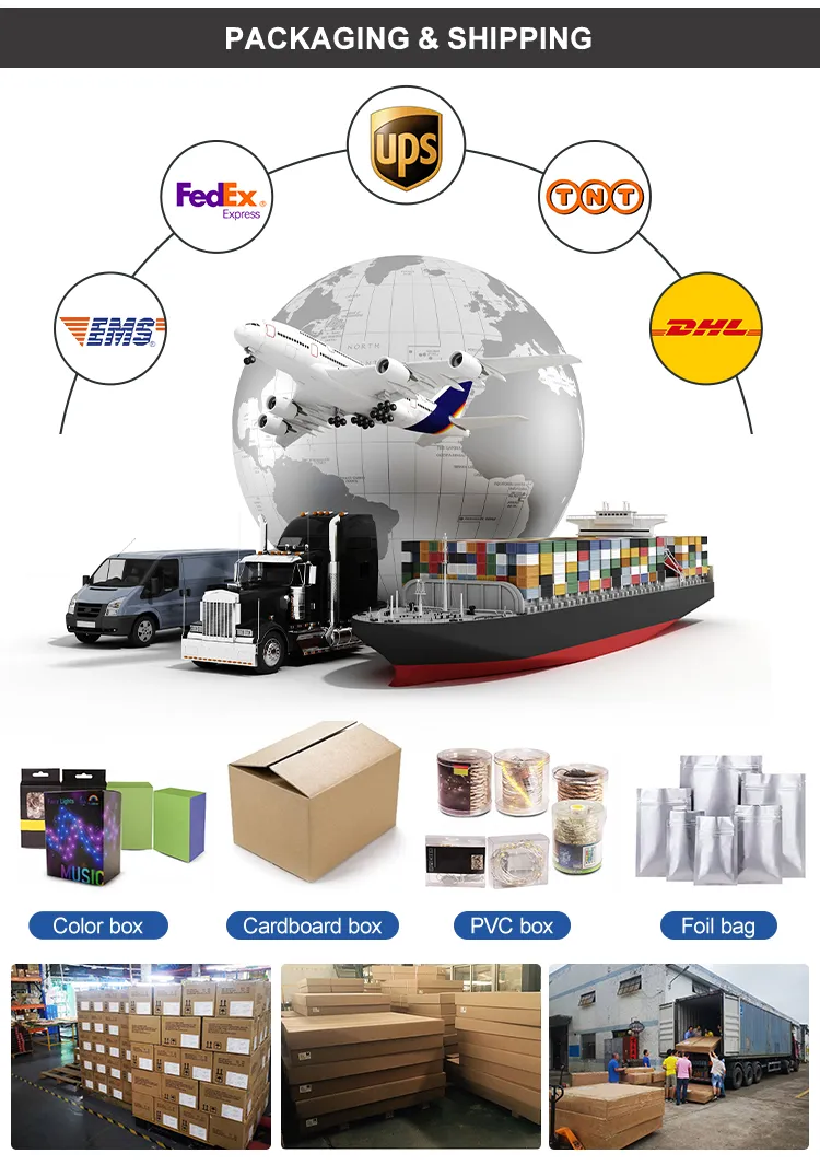 Shipping and Logistics