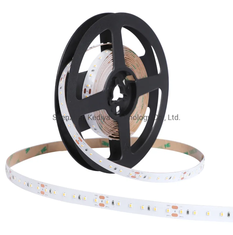 SMD2216 LED Strip Detail