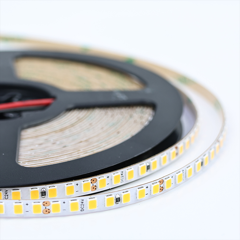 Factory Price Candor LED 24V 2835 LED Light Strip 196LEDS