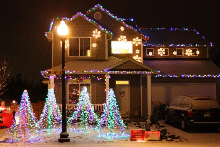 2D Outdoor LED Snowflake Motif Lights
