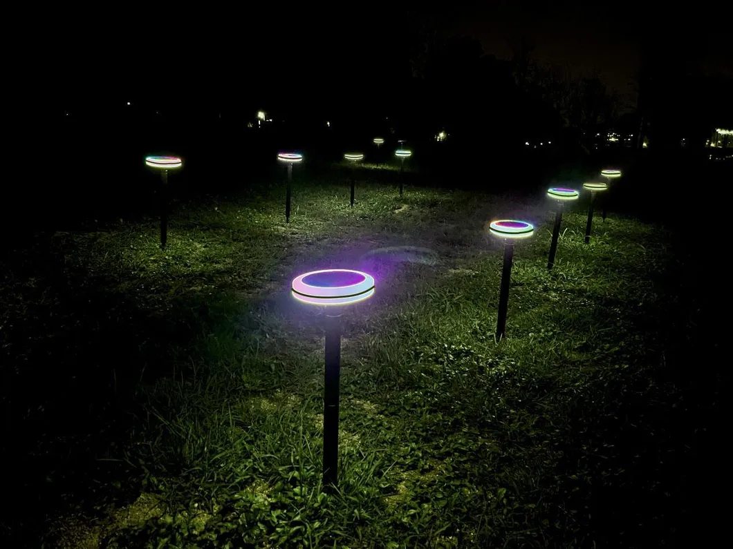 Landscape Patio Lighting