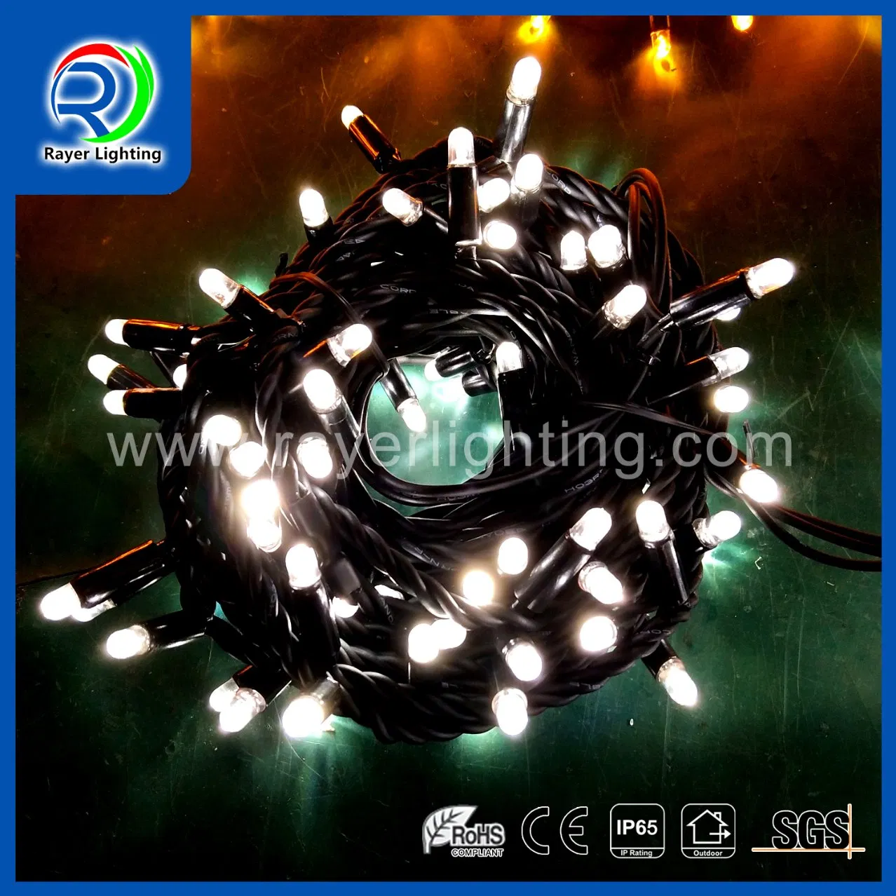 Outdoor F5 Decorative LED String Light with Dome Cover