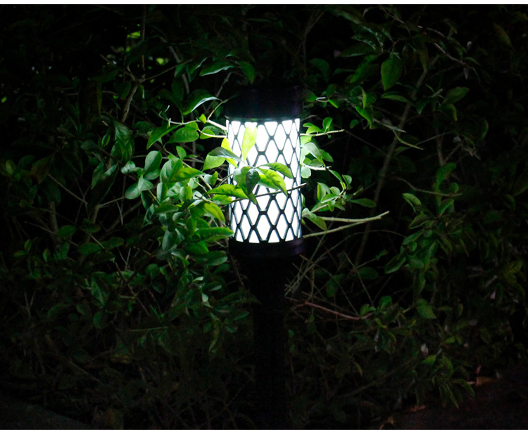 RGB Solar LED Garden Stake Light for Outdoor Landscape Decor