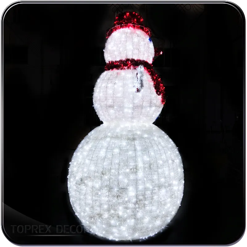 LED Snowman Night View