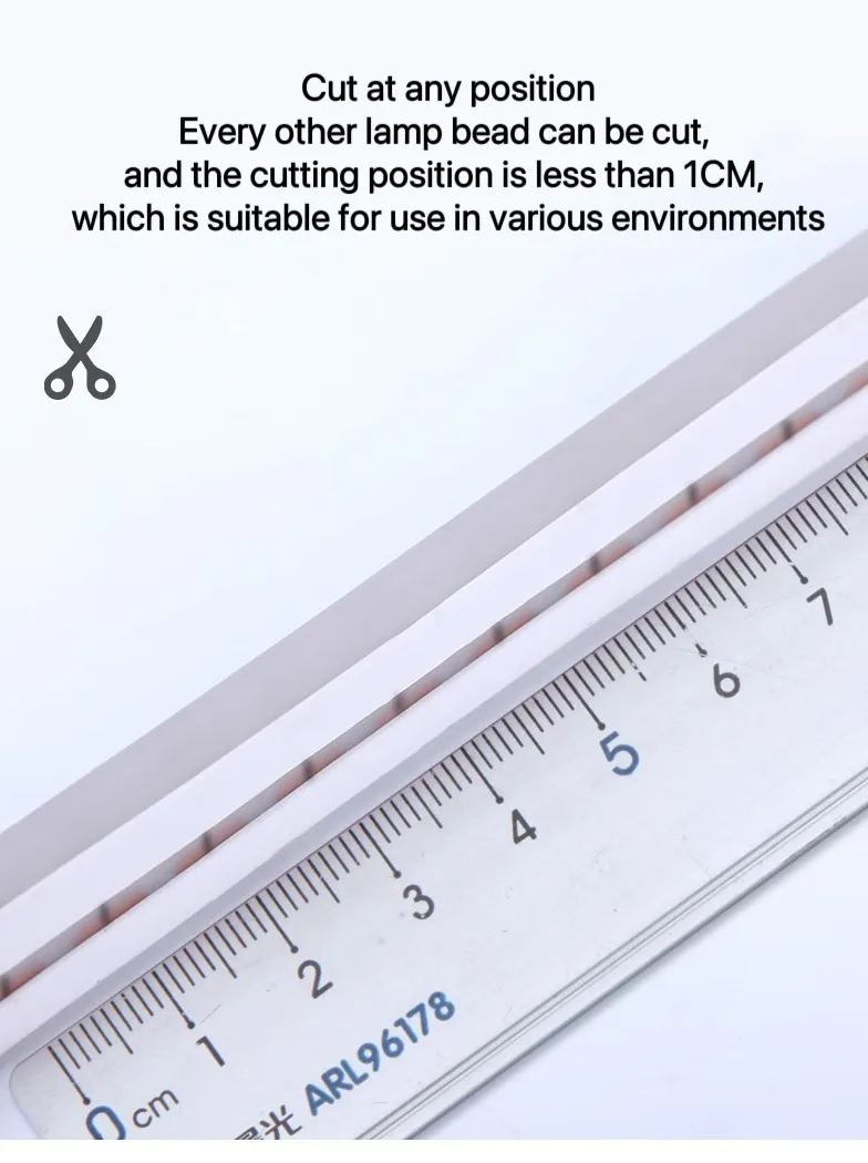 Neon LED Strip Detail