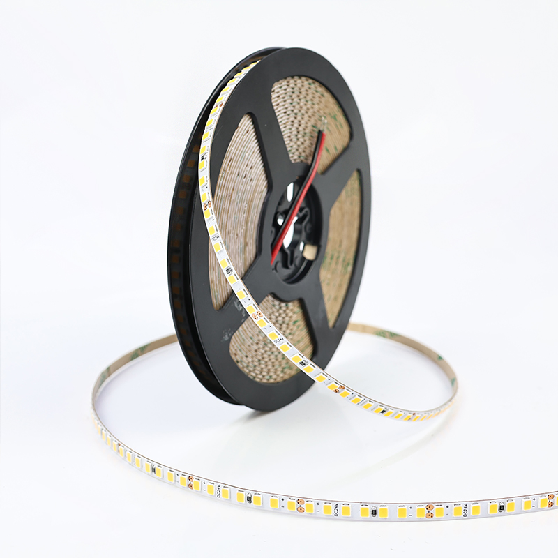 Factory Price Candor LED 24V 2835 LED Light Strip 196LEDS