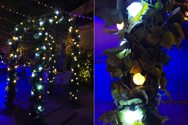 Application Scenario 3