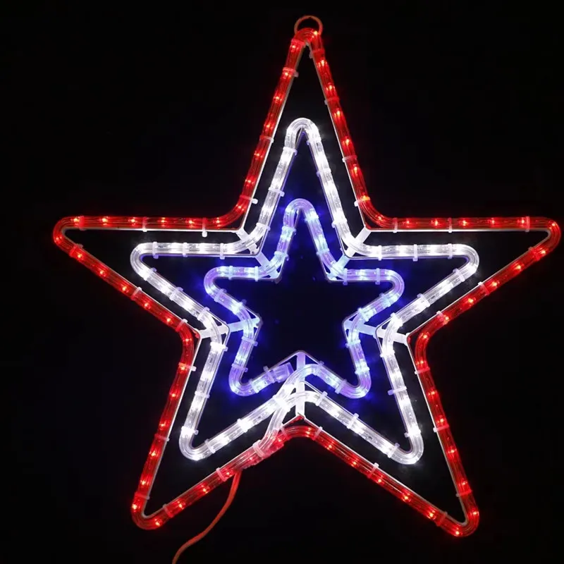 Holiday Motif Light Detail 2