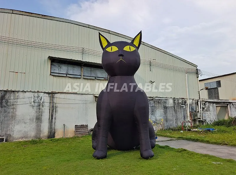 Inflatable Black Cat 4